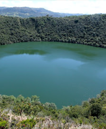 Sin título-1
